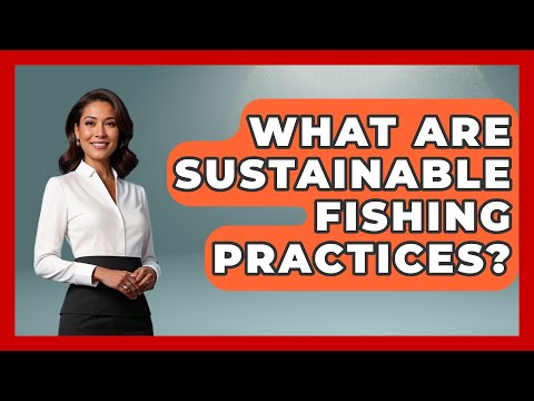 What Are Sustainable Fishing Practices? | The Marine Life Explorer