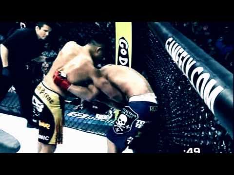 Cung Le Fight Reel