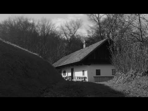 Leopold I. - Srebrne niti