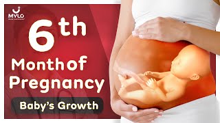 6 Month Pregnancy Baby Growth | 6 Month Pregnancy Baby Movement | Mylo Family