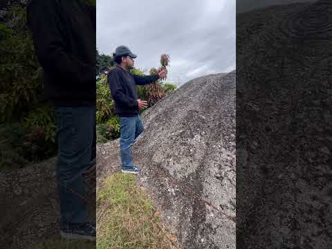 Qué les parece esta piedra de los indios?