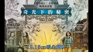 【奇光下的秘密】2017.12.15(五)暖心獻映