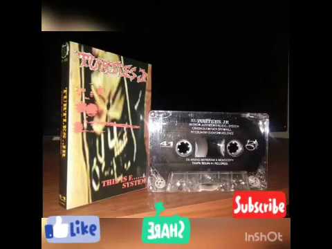 Turtles jr - This is fuck off system Full album