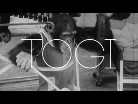Video thumbnail for Togi