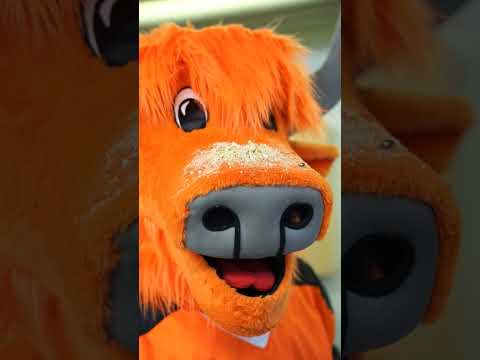 Hotsi kutsuu Pekko Pelikaanin Hämeenlinnaan! #HPK #Liiga #Hämpton #Hotsi