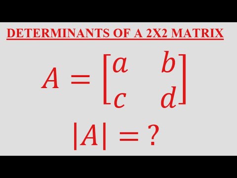 Determinants of a 2×2 Matrix – BASIC 2 TECH