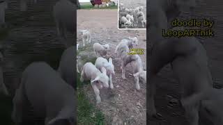 🏃‍♀️🏃‍♂️🏃 PERFECT ESCAPE PLAN 🏃‍♀️🏃‍♂️🏃 #leopartnik