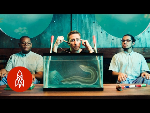 鰻魚永遠不會感覺到｜菲利普-庫斯托的水生世界, S2 EP 7 (An Eel To Never Feel | The Aquatic World With Philippe Cousteau, S2 EP 7)