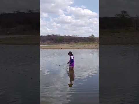 mais uma pescaria Abençoada em condado Paraíba #pesca #caminhoparaumavidamelhor #peixe