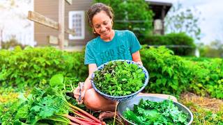 How Our Garden is Replacing Our Medicine Cabinet (and our spice rack!)