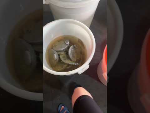 We are interested in materials containing the metals iridium, ruthenium, platinum, palladium