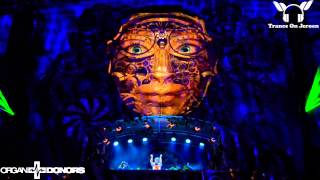 Mauro Picotto - Iguana (Organ Donors Subground Rework) Armin van Buuren LIVE @TOMORROWLAND 2014