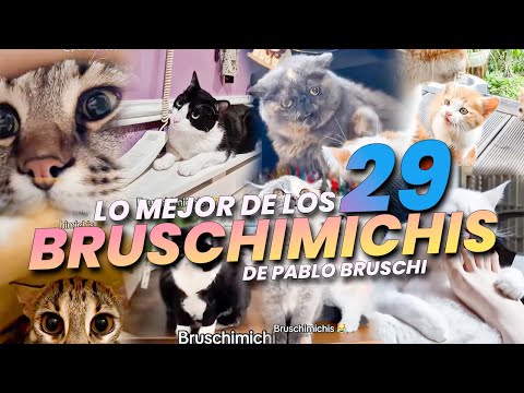 THE BEST OF THE BRUSCHIMICHIS 29 - PABLO BRUSCHI