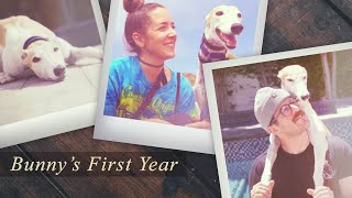 Bunny's first year with Jenna and Julien