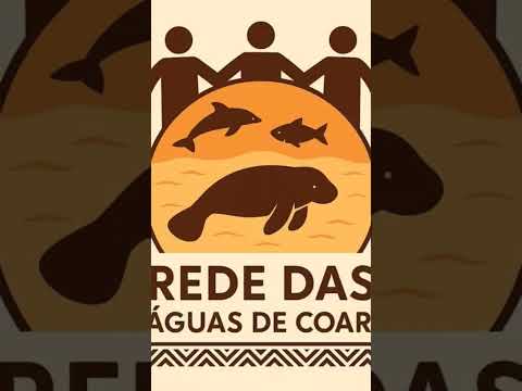 19 de outubro de 2026