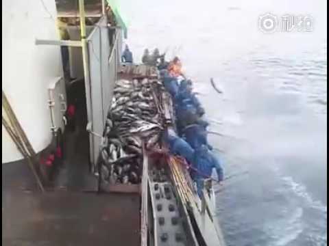 youtube image