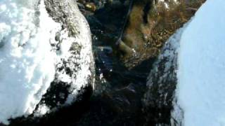 Sugar Pine Point State Park Beach Lake Tahoe 12-23-08