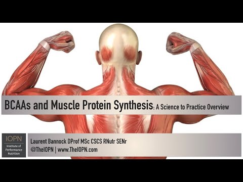 BCAAs and Muscle Protein Synthesis: A Science to Practice Overview