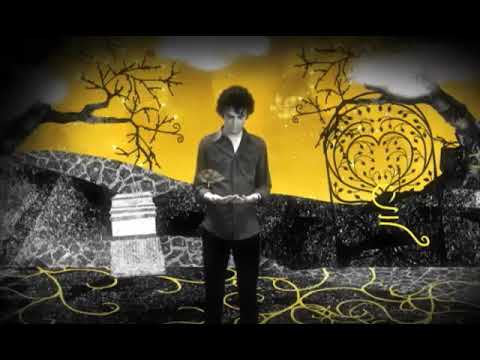 Dreams Call Out To Me video