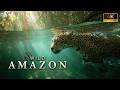 UNREAL AMAZON Nature S Most Dangerous Paradise Full Documentary