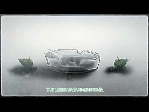 Claudio Bastardo - Guardaré la cola por si vuelves (Con Andres Slater & Linterna Veiderr)(Dj Dmt)