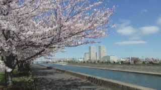 Ry Cooder - Cherry Ball Blues