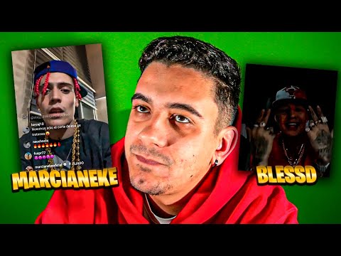 MI GATA REMIX, mi opinión.