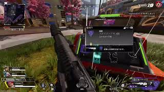 APEX　初心者の成長記録