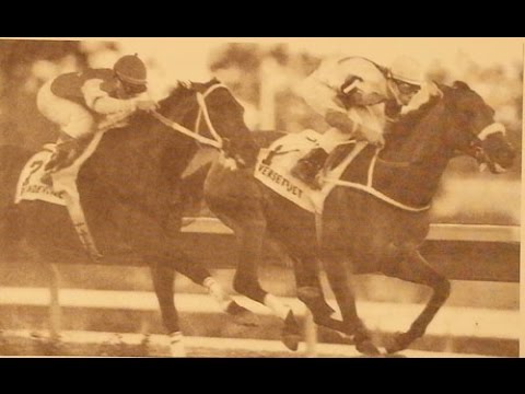 VERSET'S JET - Copa Confraternidad 1994