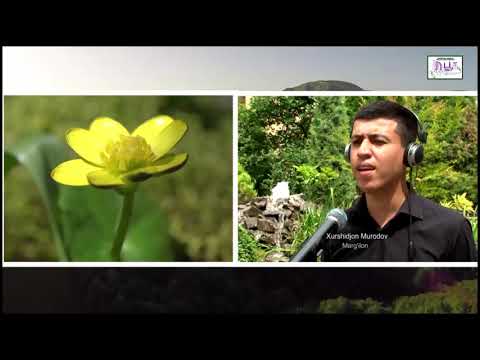 Qorabog - Qarabağ (Özbəkistan müğənnilərinin ifasında)