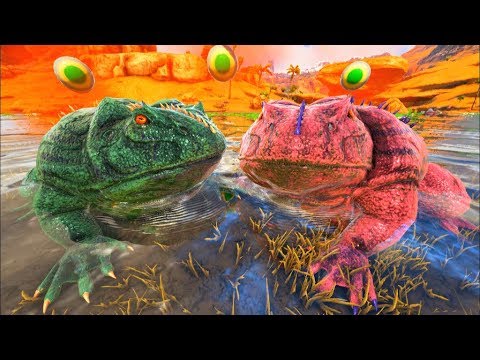 The Lonely Frog in Search of a Wife to Start a Family! Ark Dino Evolved (PT/BR)