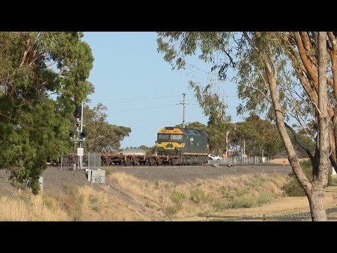 7734V PQGY Container Wagon Transfer (10/2/2019) - PoathTV Australian Trains & Railways