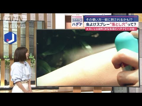 コーヒーかすが嫌いな昆虫は何ですか?忌避剤としてどのように使用しますか？  庭園