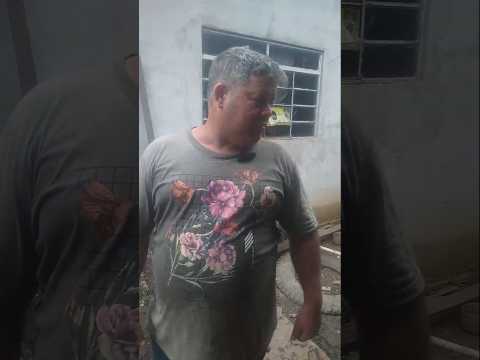 Ja ta acabando a construção do galinheiro #galinha #roça #mineiro #pedralva #minasgerais #hit