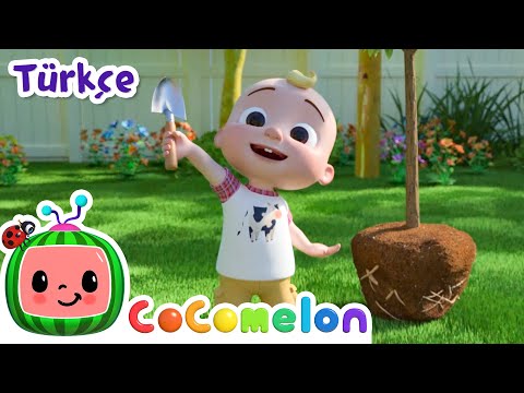 Dünyamızı Korumalıyız! 🌍 | CoComelon Türkçe | Çizgi Film | Bebek Şarkıları