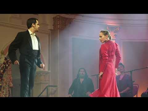 Promotional video thumbnail 1 for Flamenco Arts International