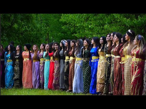 Şiyar Berwari - Andaç Köyü Düğünü Govenda Milane   [ 2022 ©  ] شيار برواري