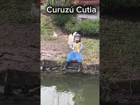 ​¡Llegamos a la Cruz de Papel! Curuzú Cuatiá #CuruzuCuatia #CruzDePapel #Corrientes #Viajeros