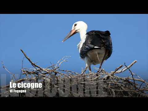 Momenti sul lago di Cornino e il Tagliamento, luglio 2023