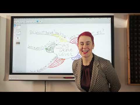 Spiral Dynamics für alle verständlich erklärt — Heute: Das grüne Level!