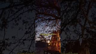 Download lagu story wa IWAN FALS yang tersendiri#iwanfals #story wa mp3 Download lagu story wa IWAN FALS yang tersendiri#iwanfals #story wa mp3