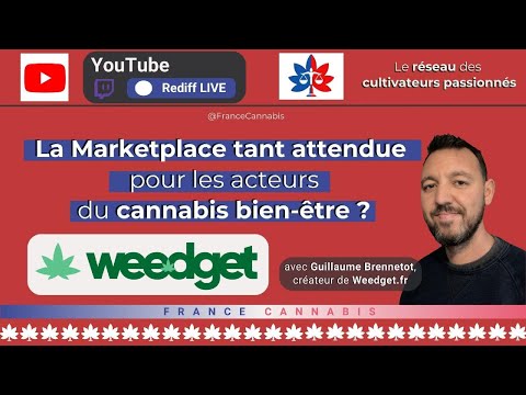 Weedget - Marketplace Chanvre Bien-Être