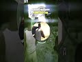 Hidden Pump Shotgun In GTA5