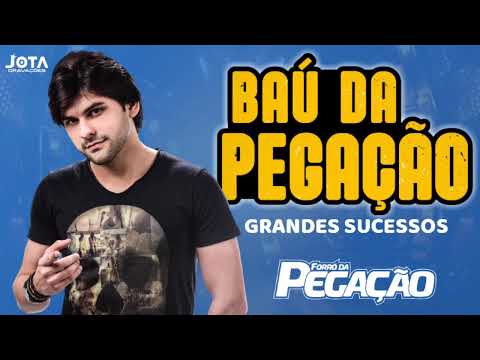 BAÚ DO PEDRINHO PEGAÇÃO GRANDES SUCESSOS PRA PAREDÃO
