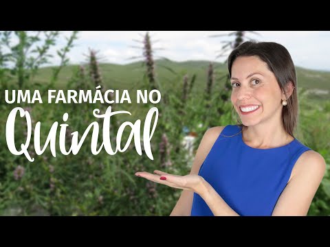 Conheça as propriedades medicinais da planta MACAÉ ou RUBIM