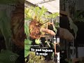 How Nice BUSTY EMA Model Music Dancehall Newmusic Dance Nature Trending Adventure Africa