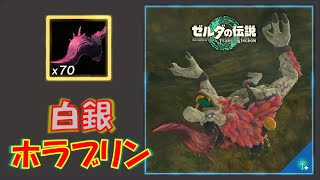 【ゼルダの伝説ティアキン】白銀ホラブリンが出現するオススメ洞窟を紹介
