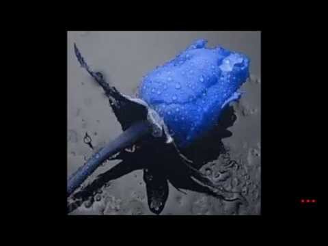 Os Travessos - Sonhos e Planos (Sou eu) Letra