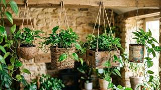 10+ DIY Rustic Pothos Planters Using Everyday Materials | Easy Indoor Plant Décor