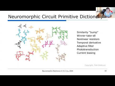 Shih-Chii Liu: Neuromorphic electronics, A historical perspective (Telluride Neuromorphic 2020)